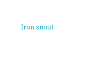 Iron snout